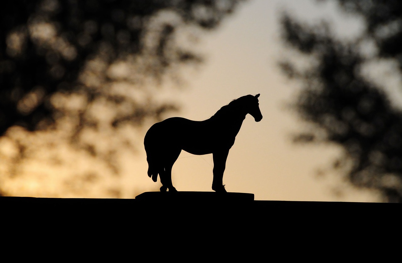 toy horse sunset free photo