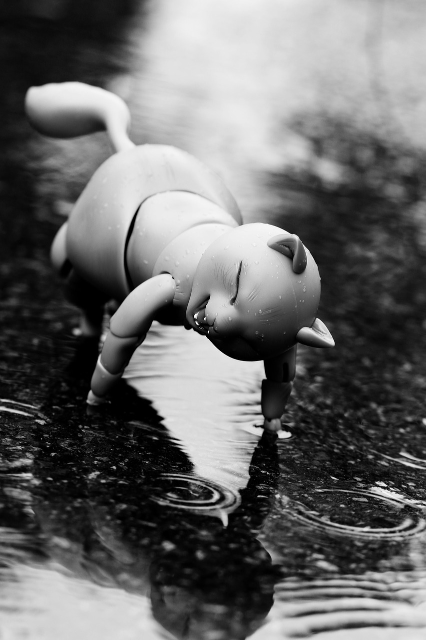 toy puddle reflection free photo