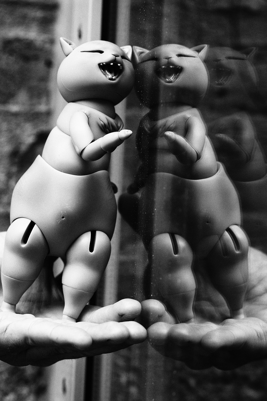 toy reflection fun free photo