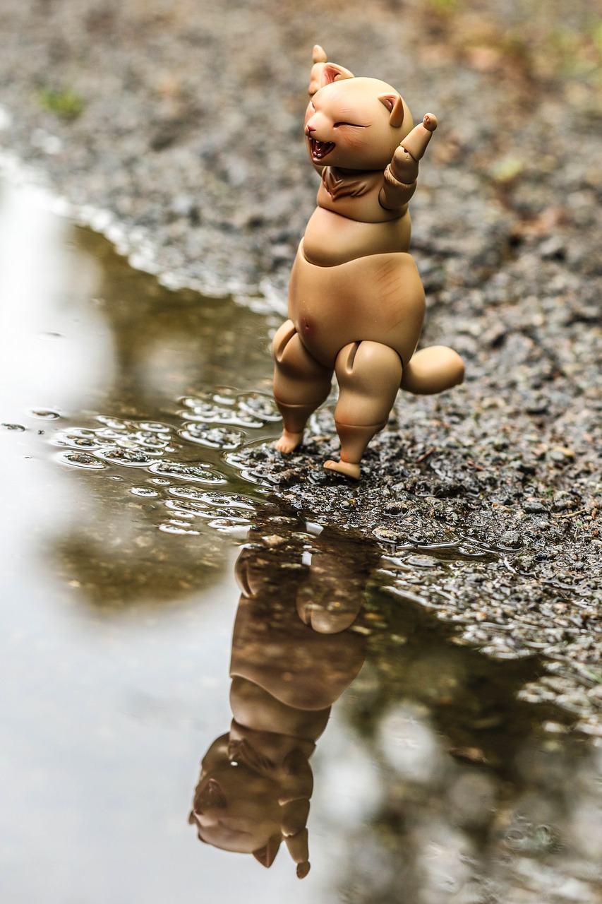 toy happy puddle free photo