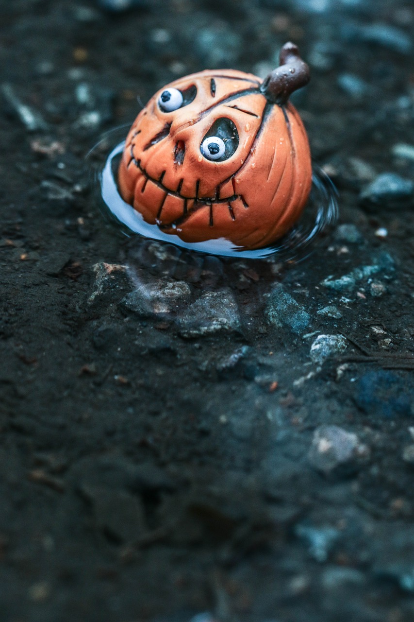 toy figure pumpkin free photo