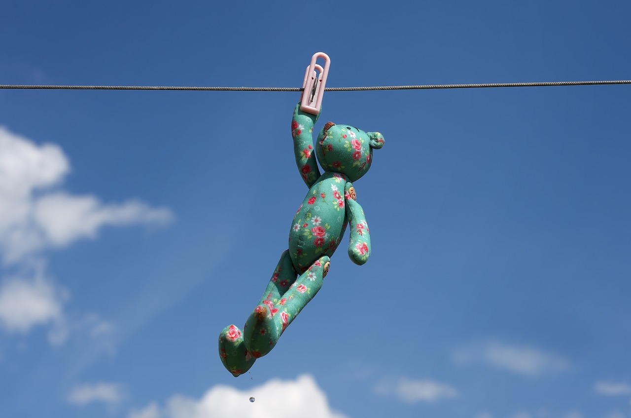 toy pin clothesline free photo