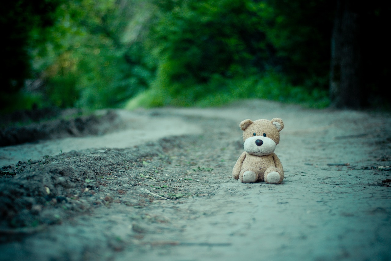 toy  teddy bear  road free photo