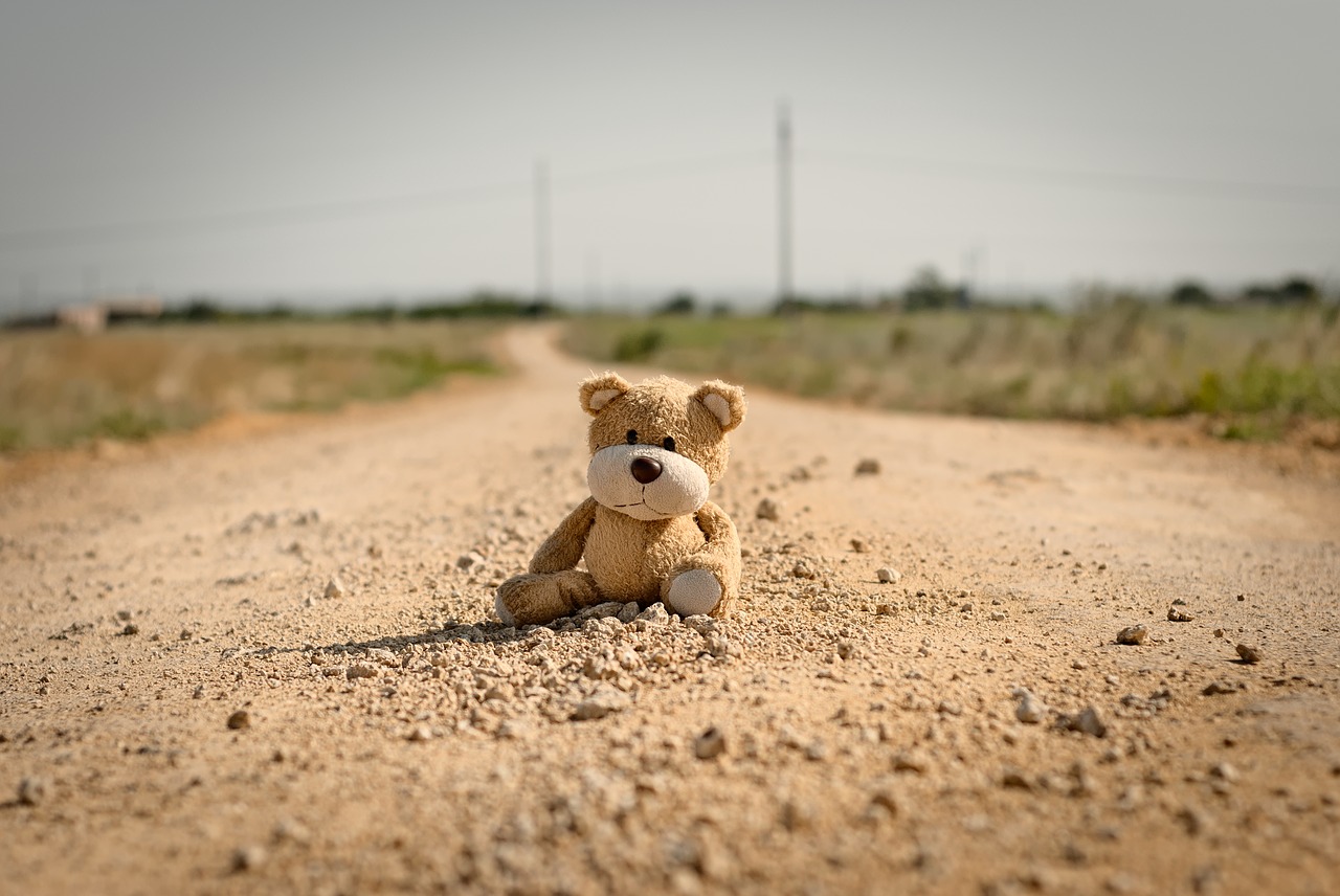 toy  teddy bear  road free photo