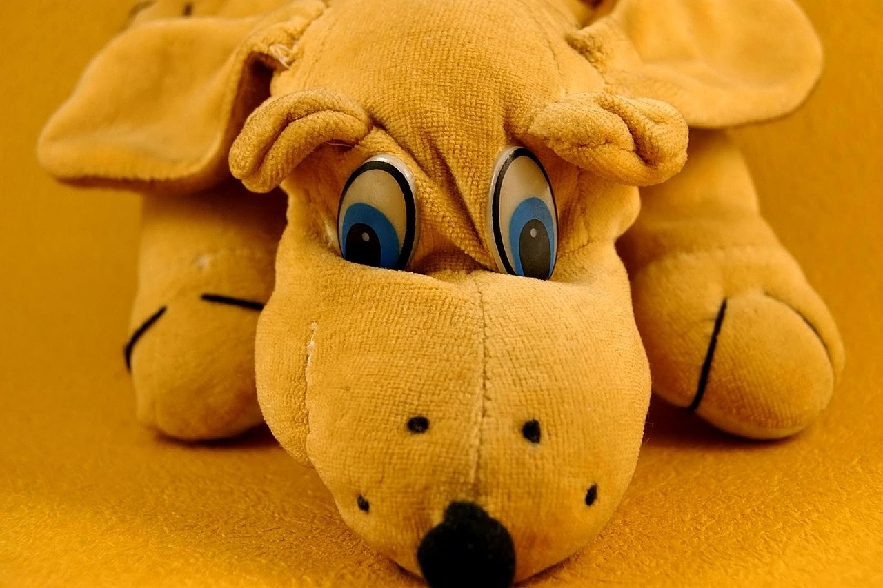 toy stuffed animal free photo
