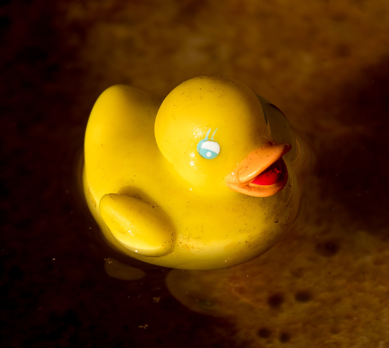 toy  duck  yellow free photo