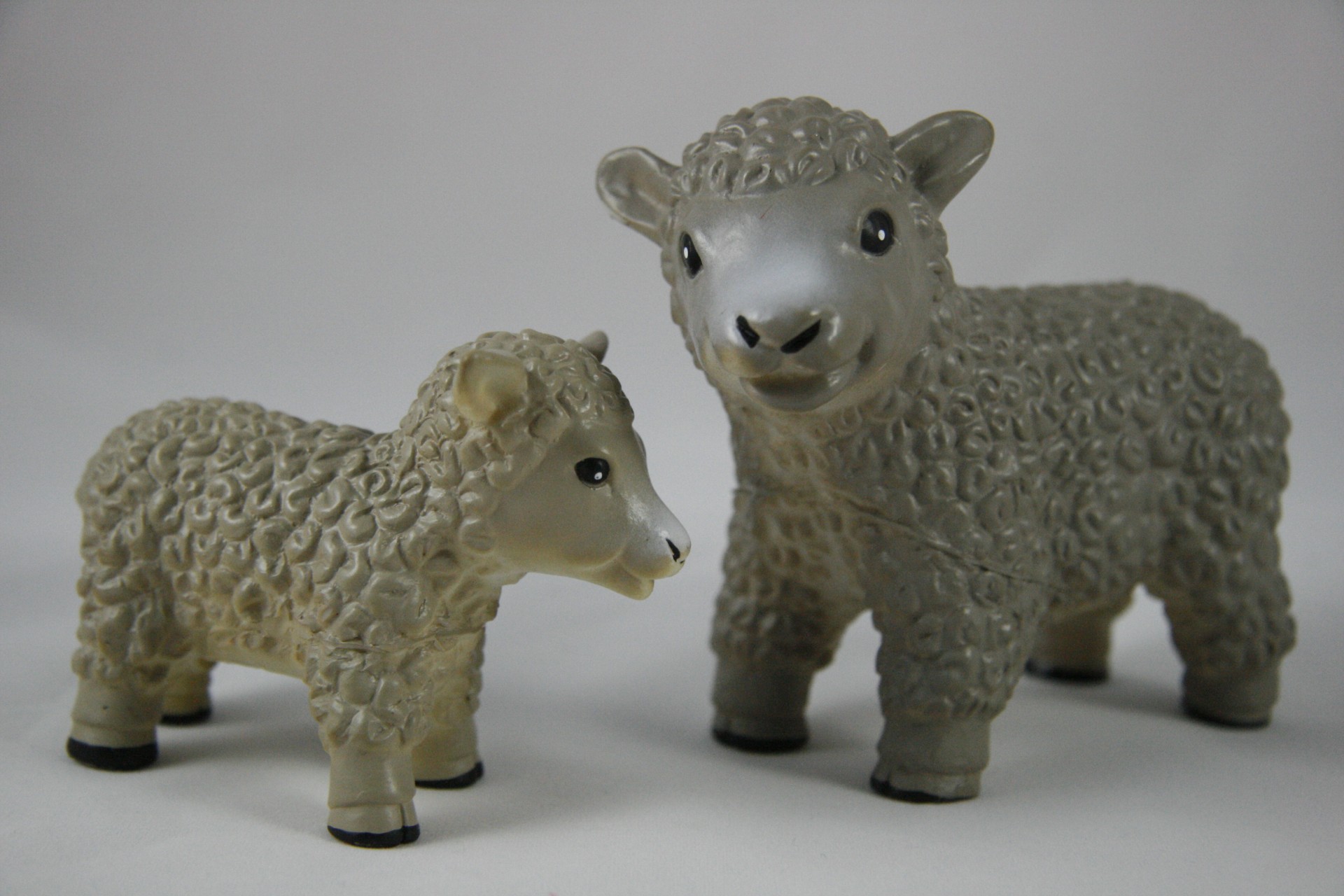 toy lamb sheep free photo