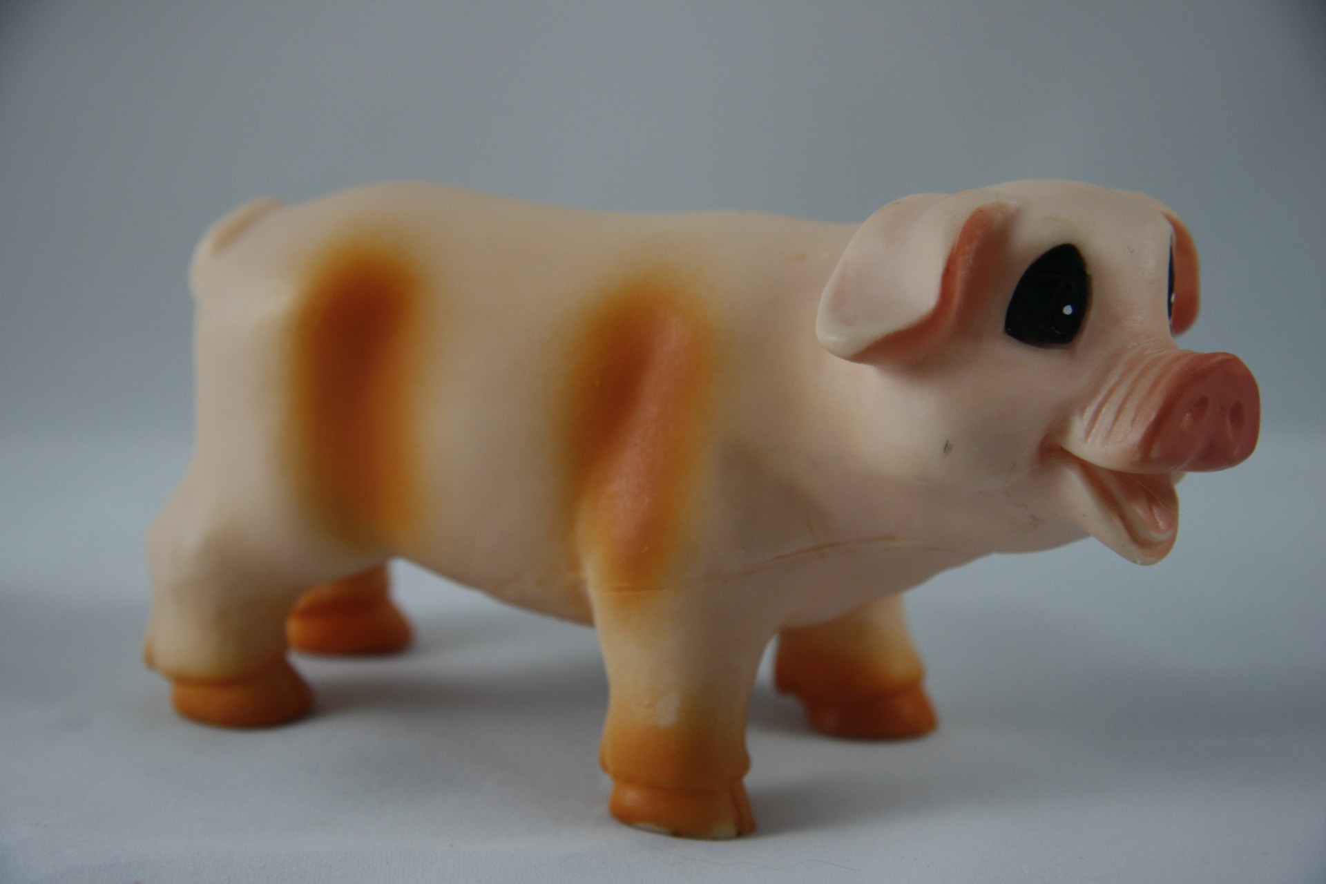 toy pig farm free photo