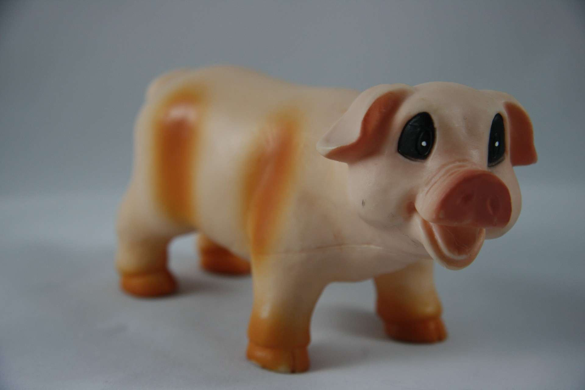 toy pig farm free photo