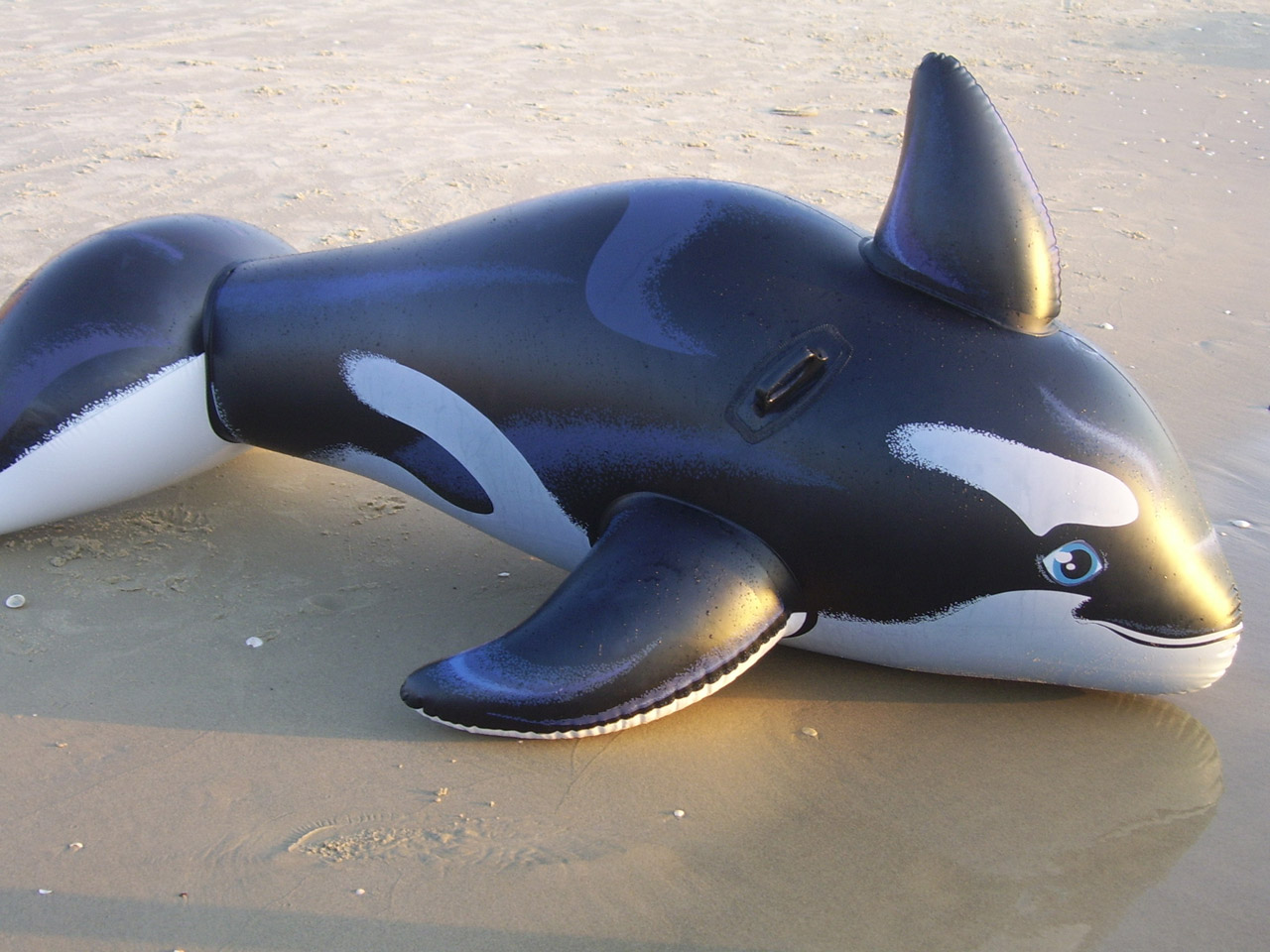 toy whale beach free photo