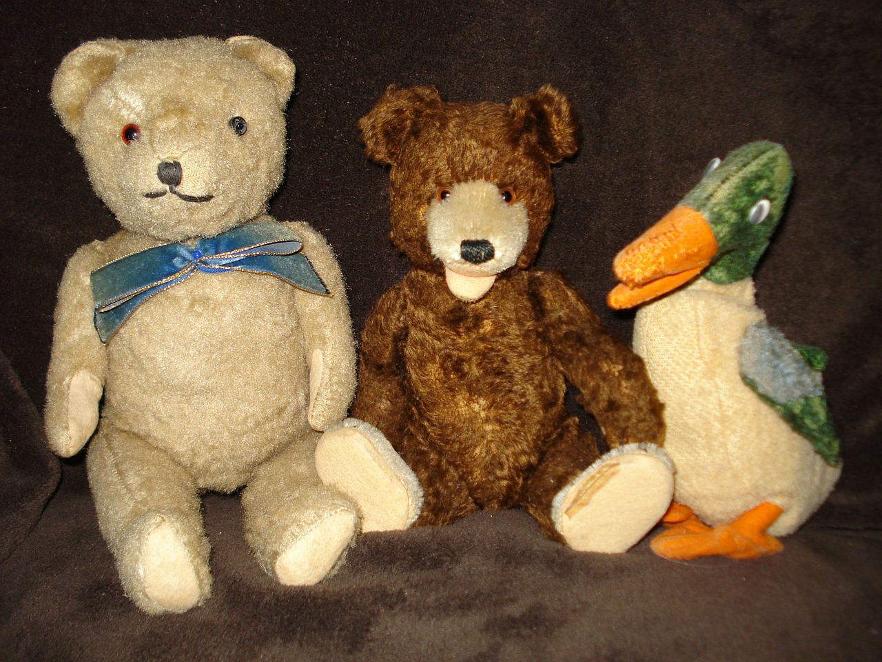 toys teddy bear plush free photo