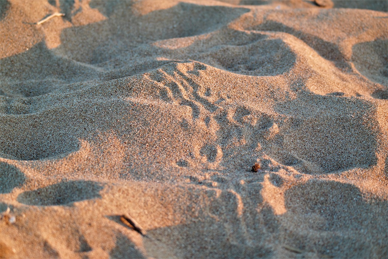 trace sand beach free photo