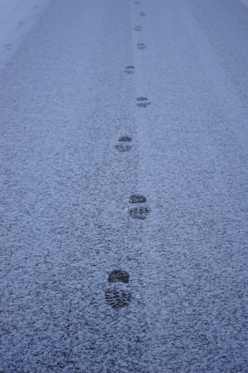 traces snow road free photo