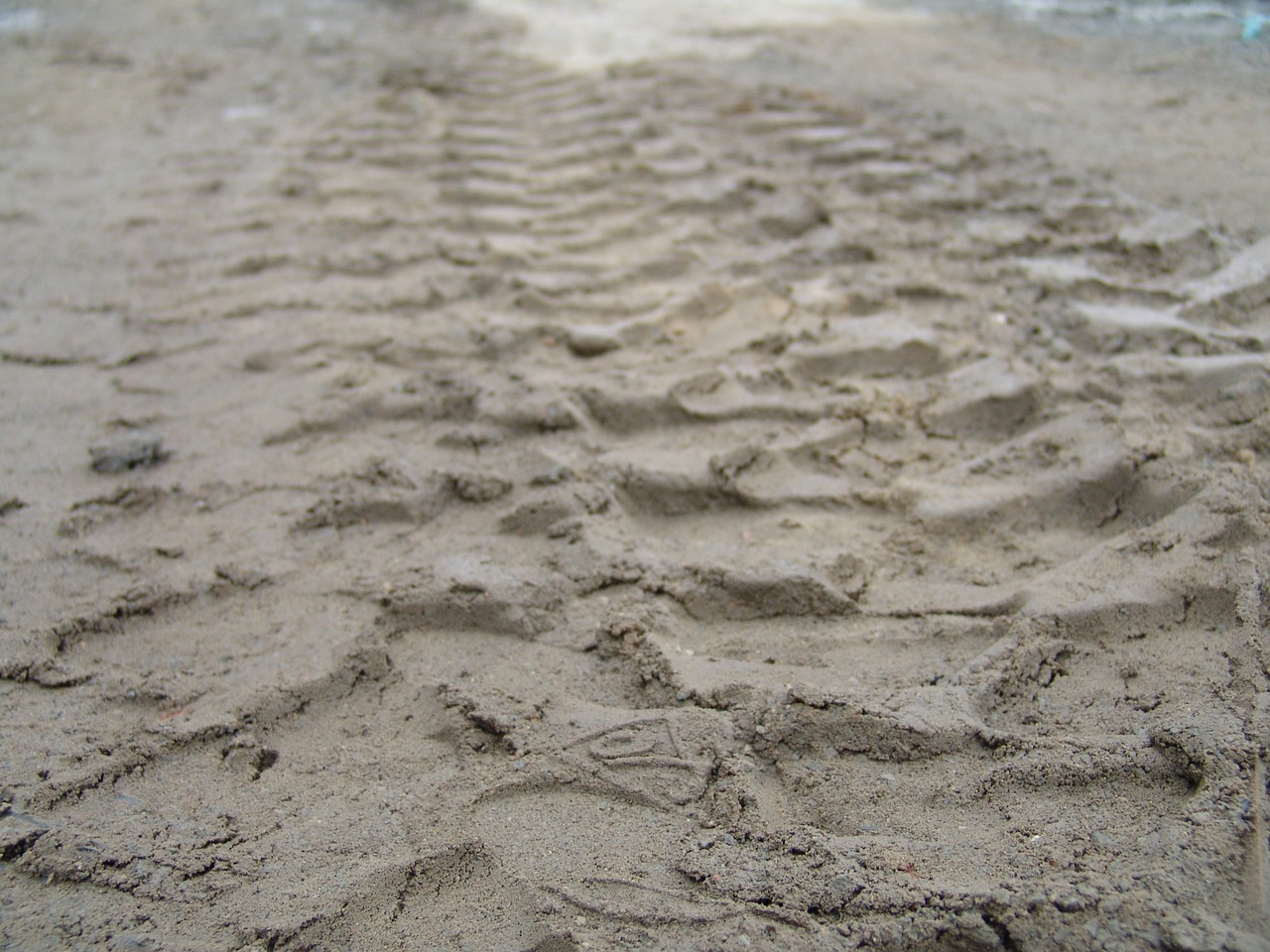 traces tire tracks sand free photo