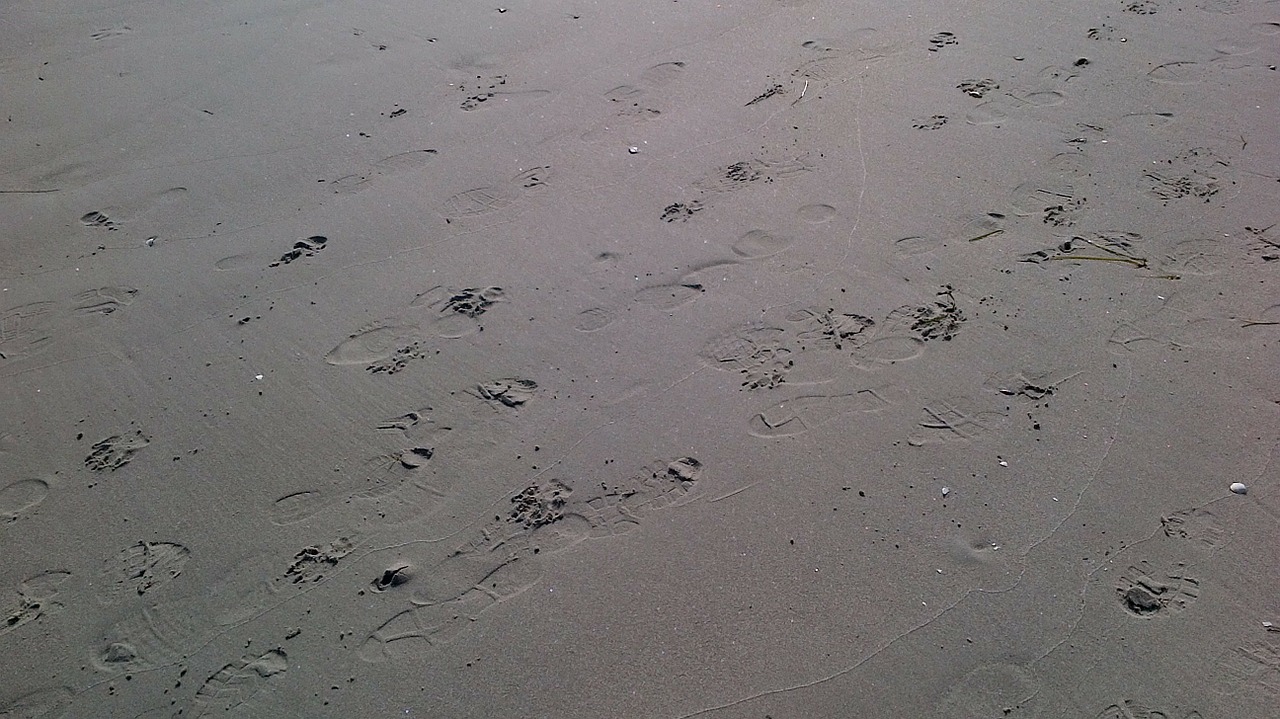 traces footprints beach free photo