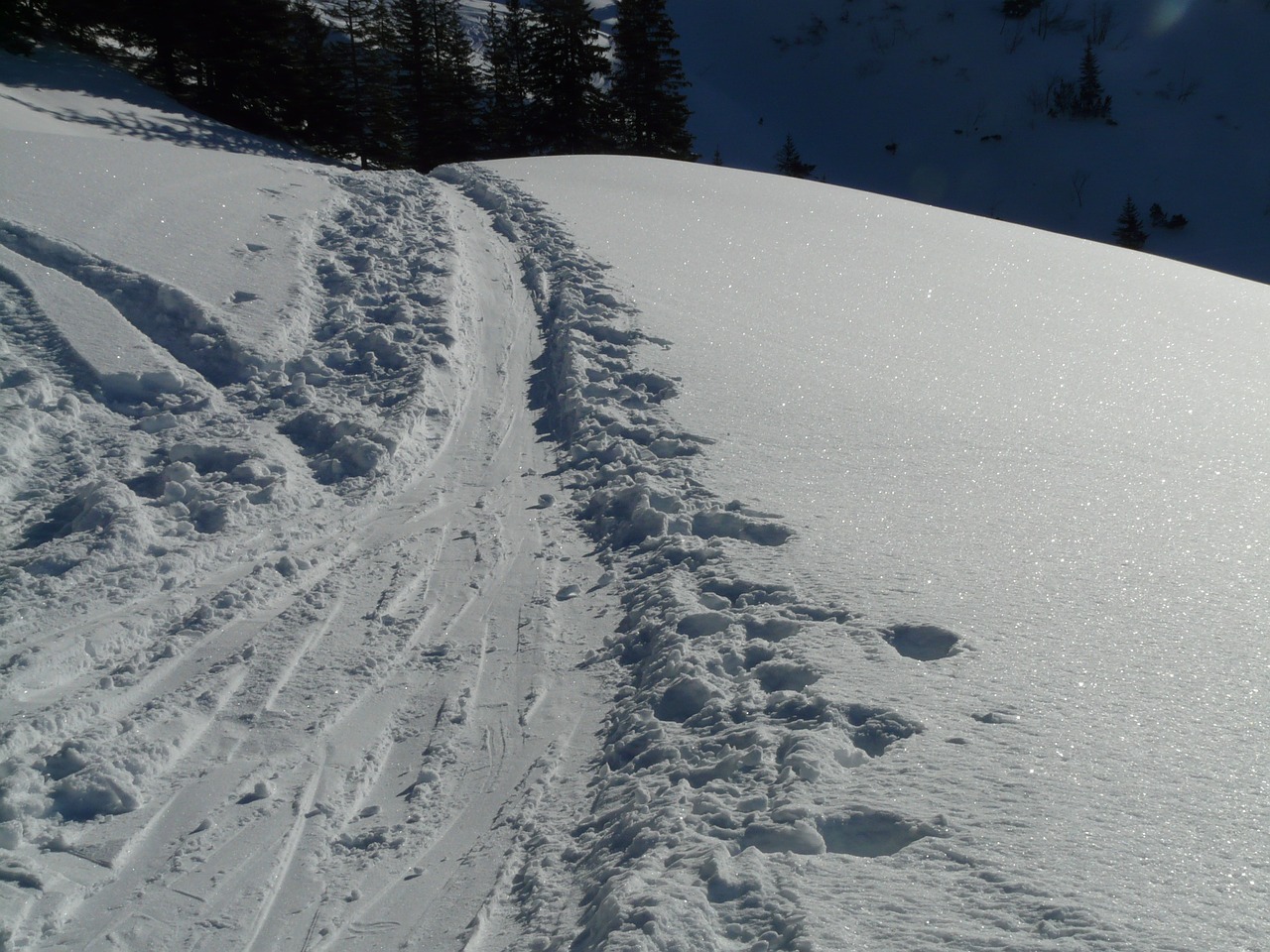traces trail snow free photo