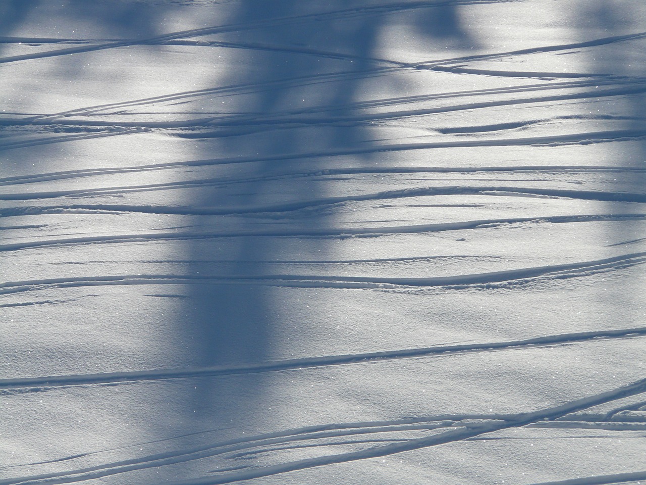 traces winter snow free photo