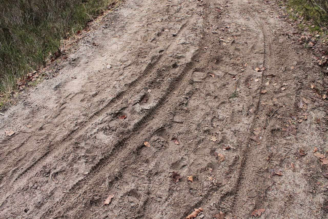 traces sand bike tracks free photo