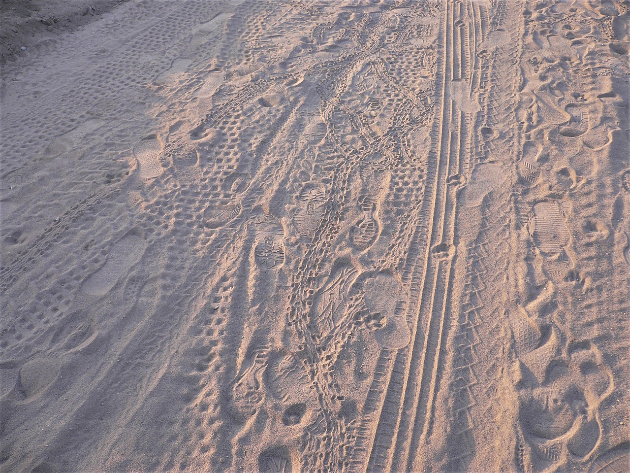 traces sand beach free photo