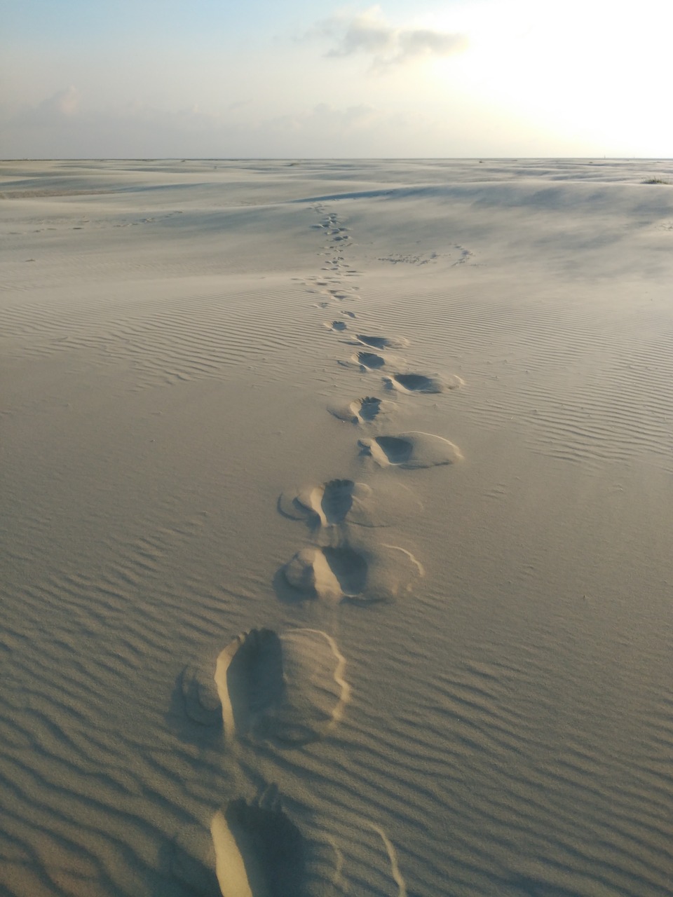 traces  sand  sea free photo