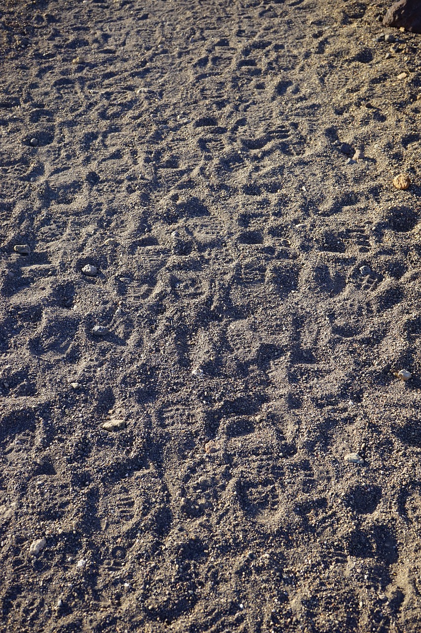 traces footprints sand free photo