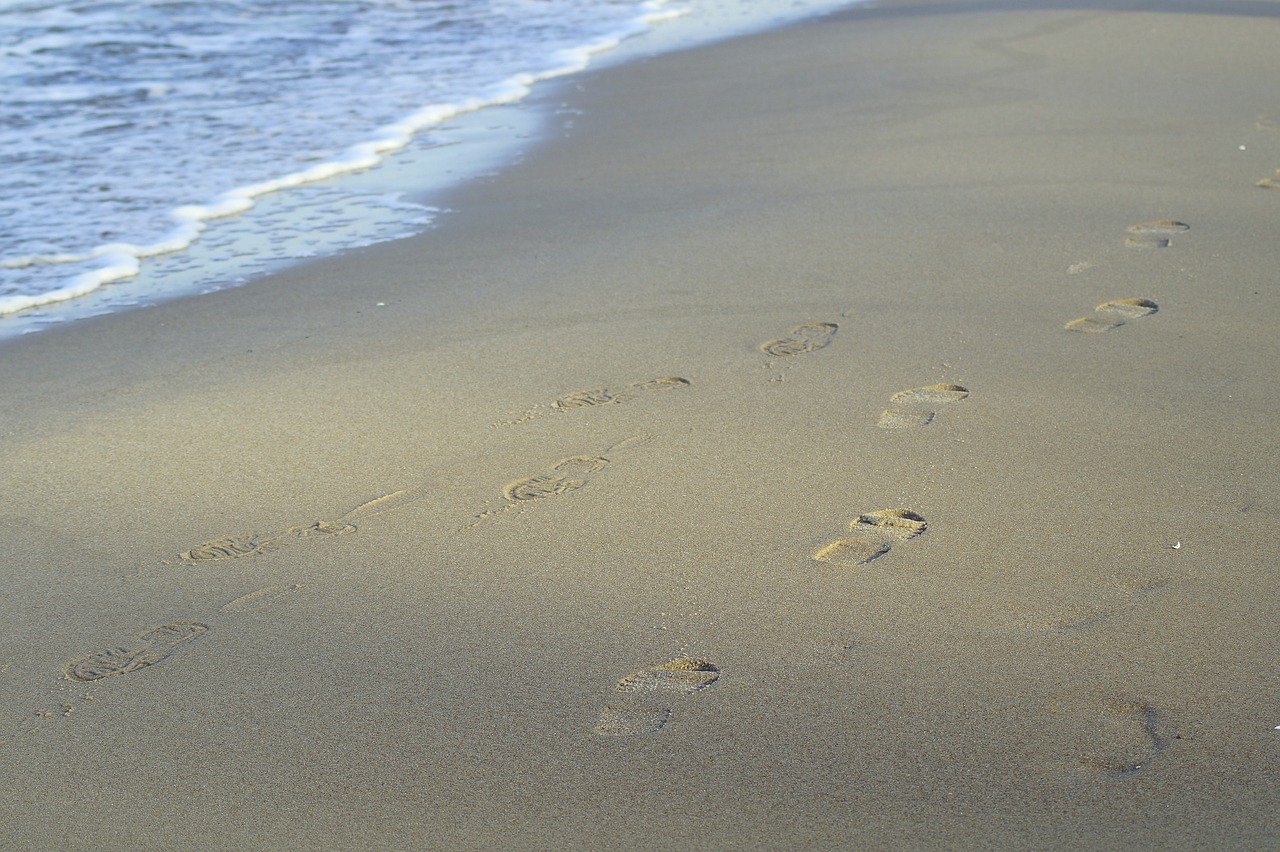 traces  prints  footprints free photo