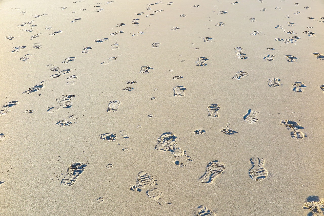 traces  beach  sand free photo