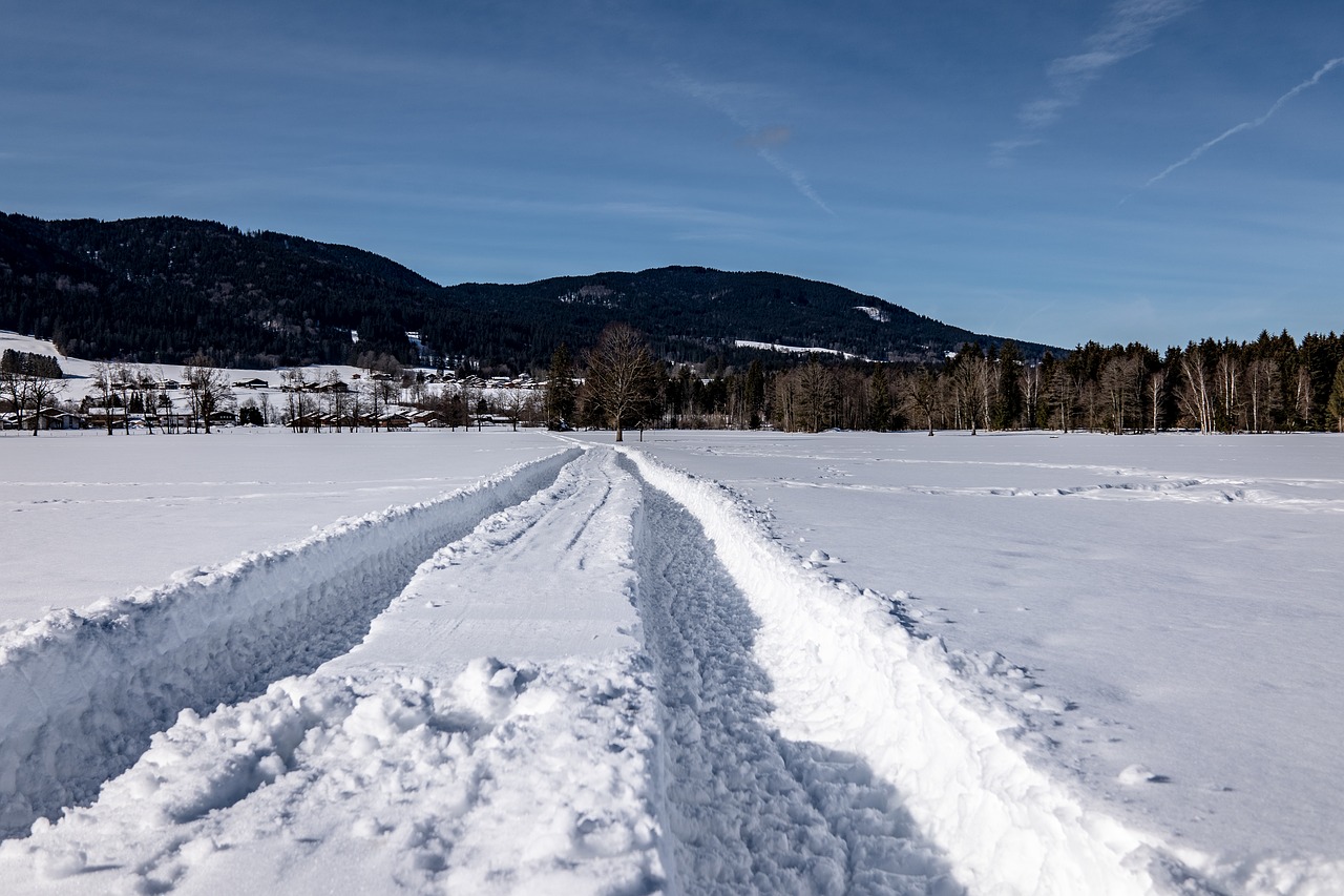 traces  snow  winter free photo