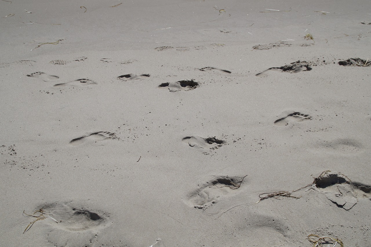 traces footprints sand free photo