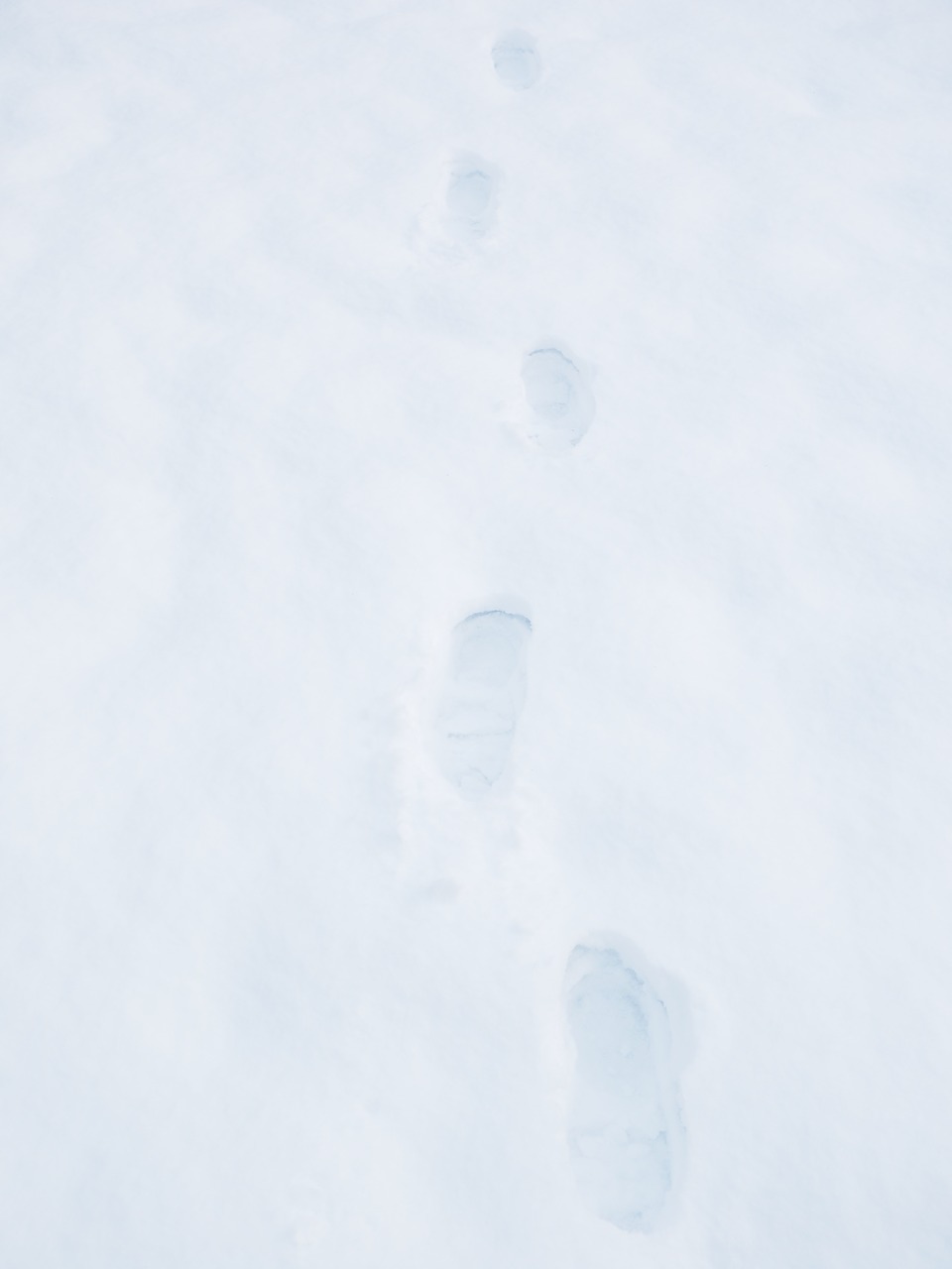 traces footprints snow free photo