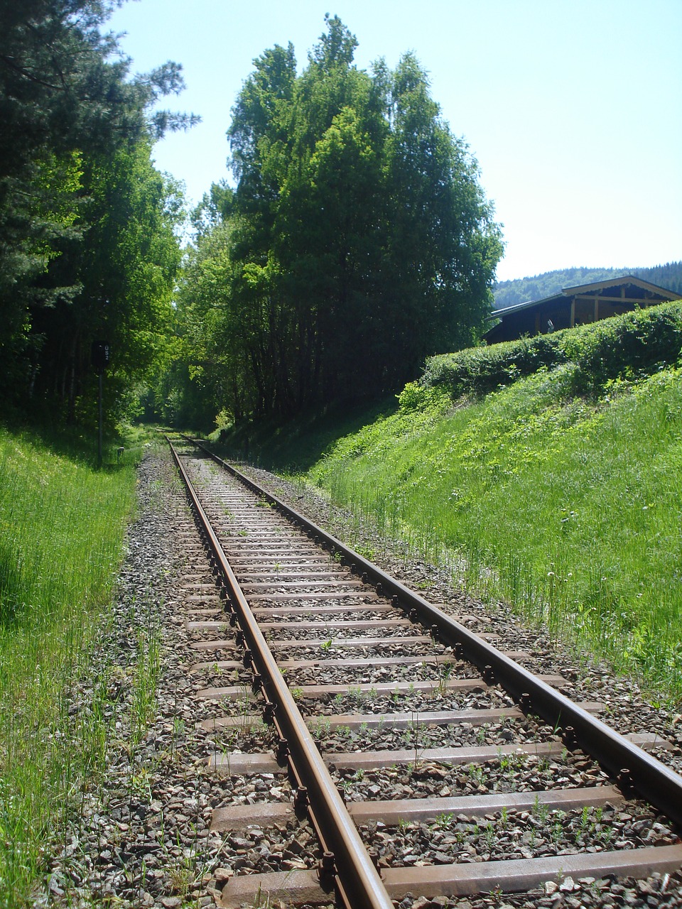 track summer train free photo