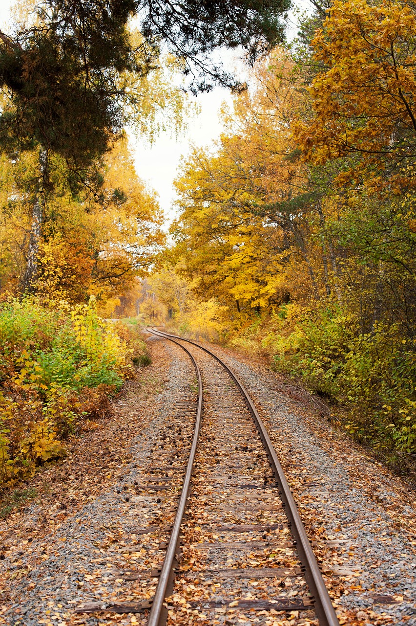 track rails rail free photo