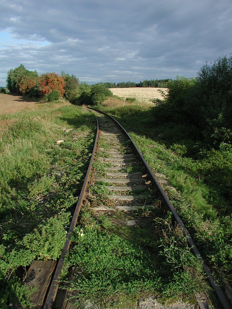 track railway nature free photo