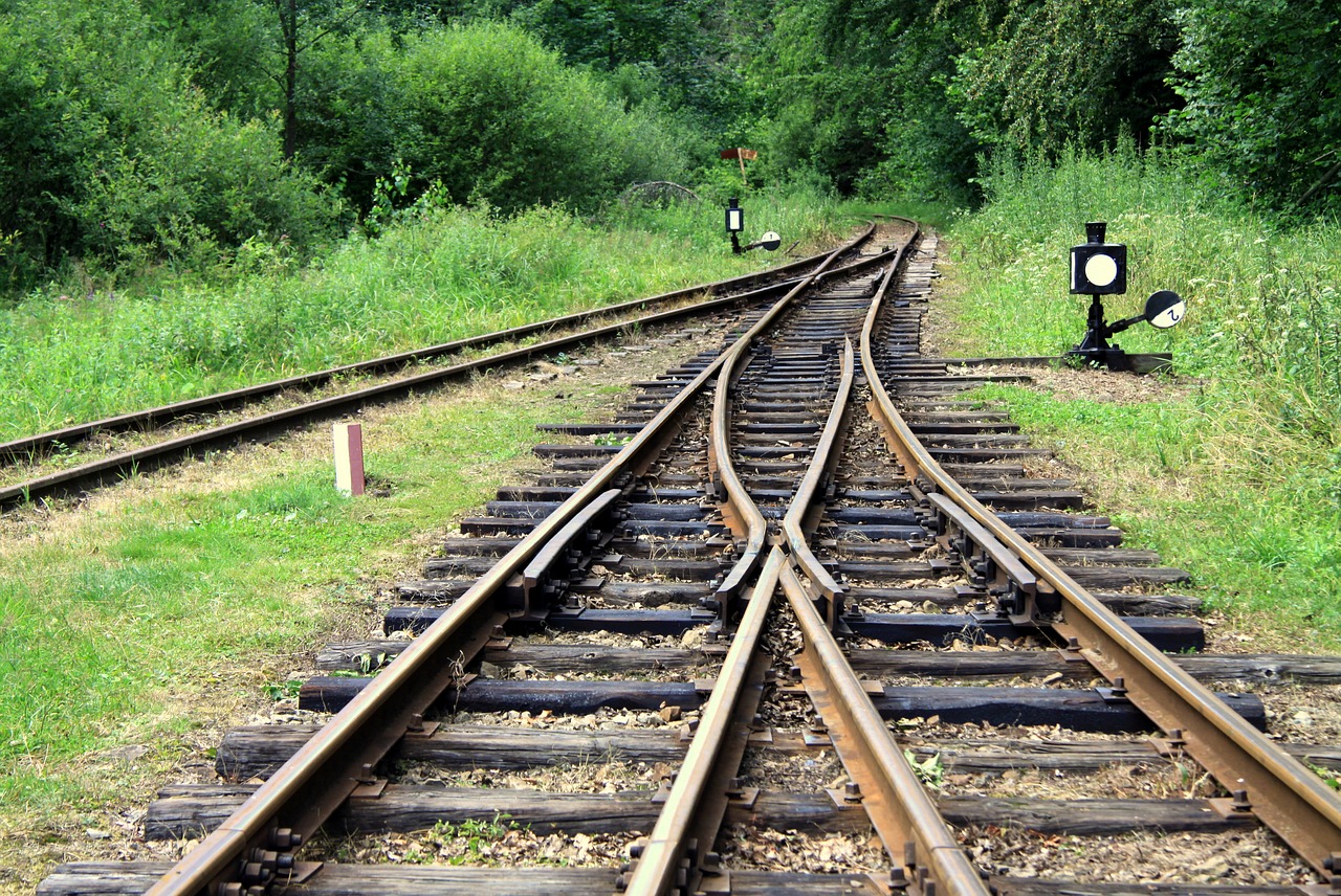 track summer landscape free photo