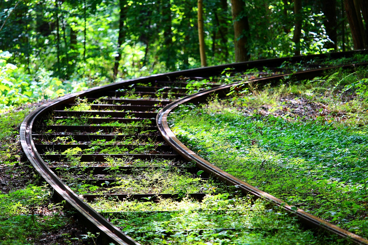 track rail forest free photo