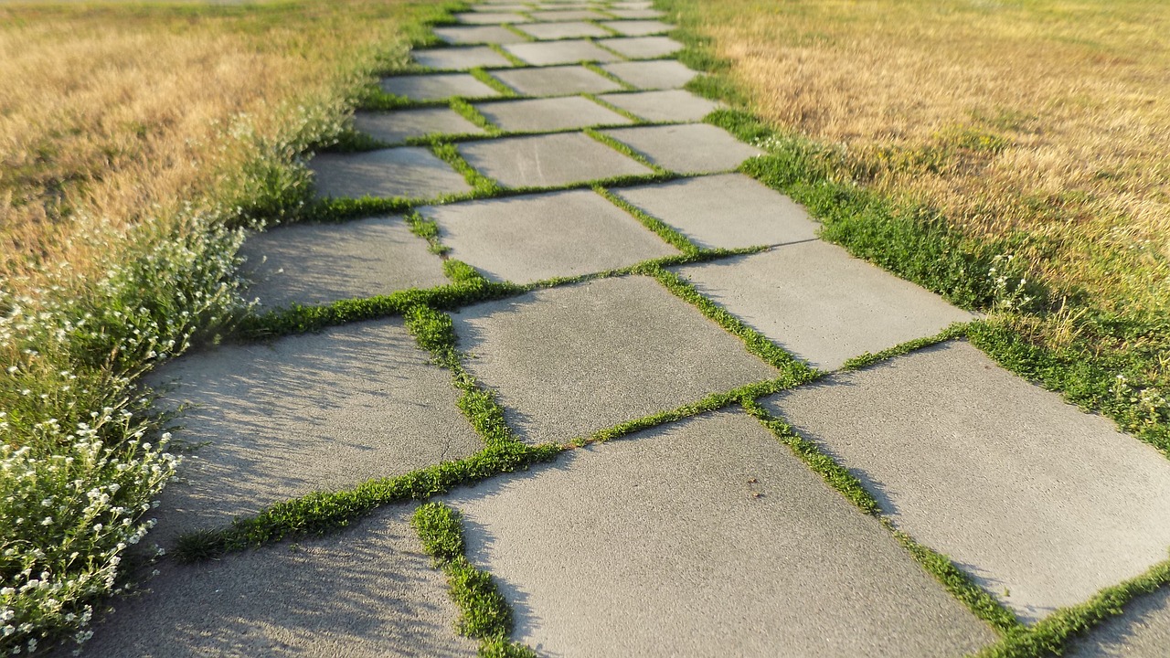 track botanical garden grass free photo