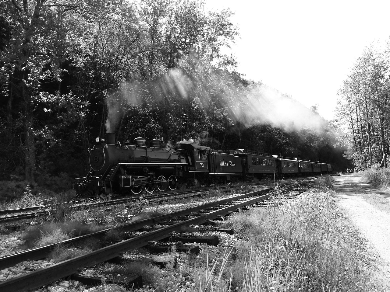 track train transport free photo