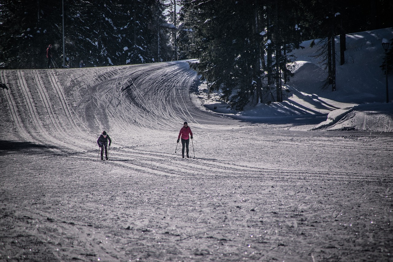 track  ski  sport free photo