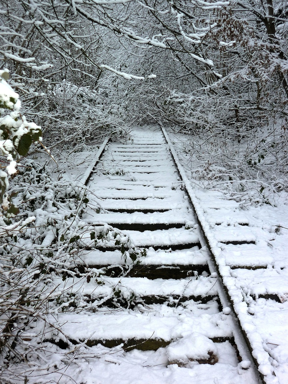 track winter train free photo