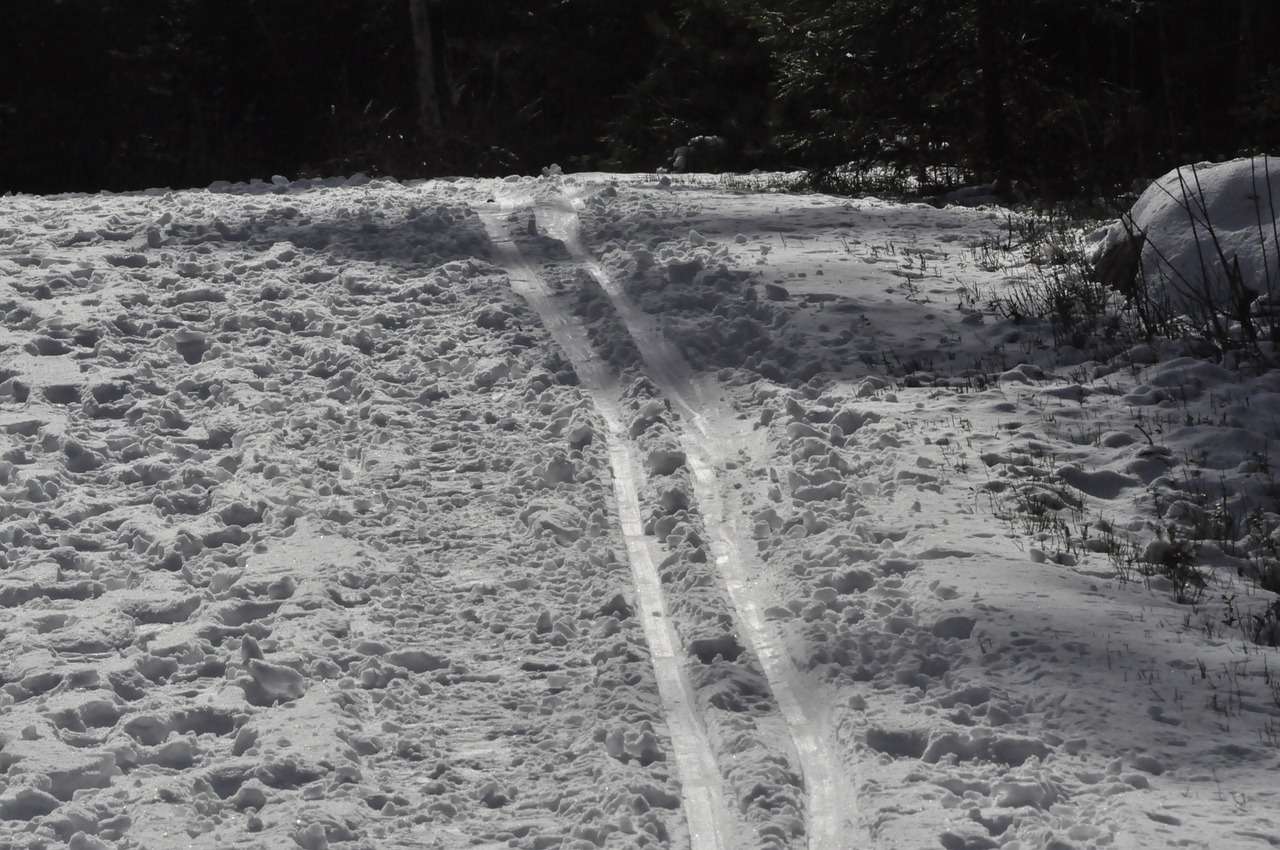 track winter skiing free photo