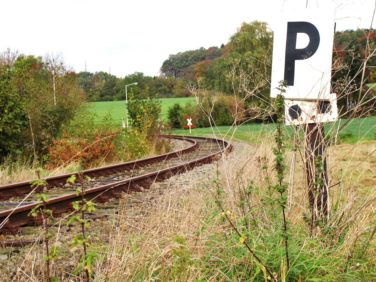 track shield leave free photo