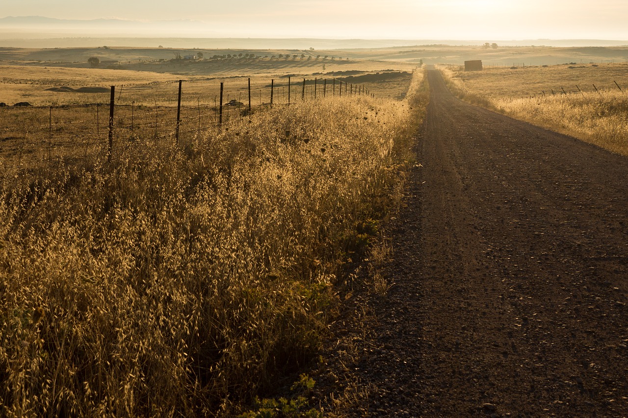 track dirt road way free photo