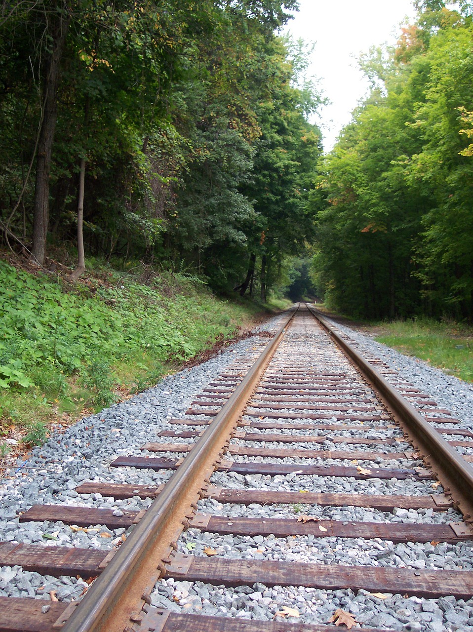 tracks railroad locomotive free photo