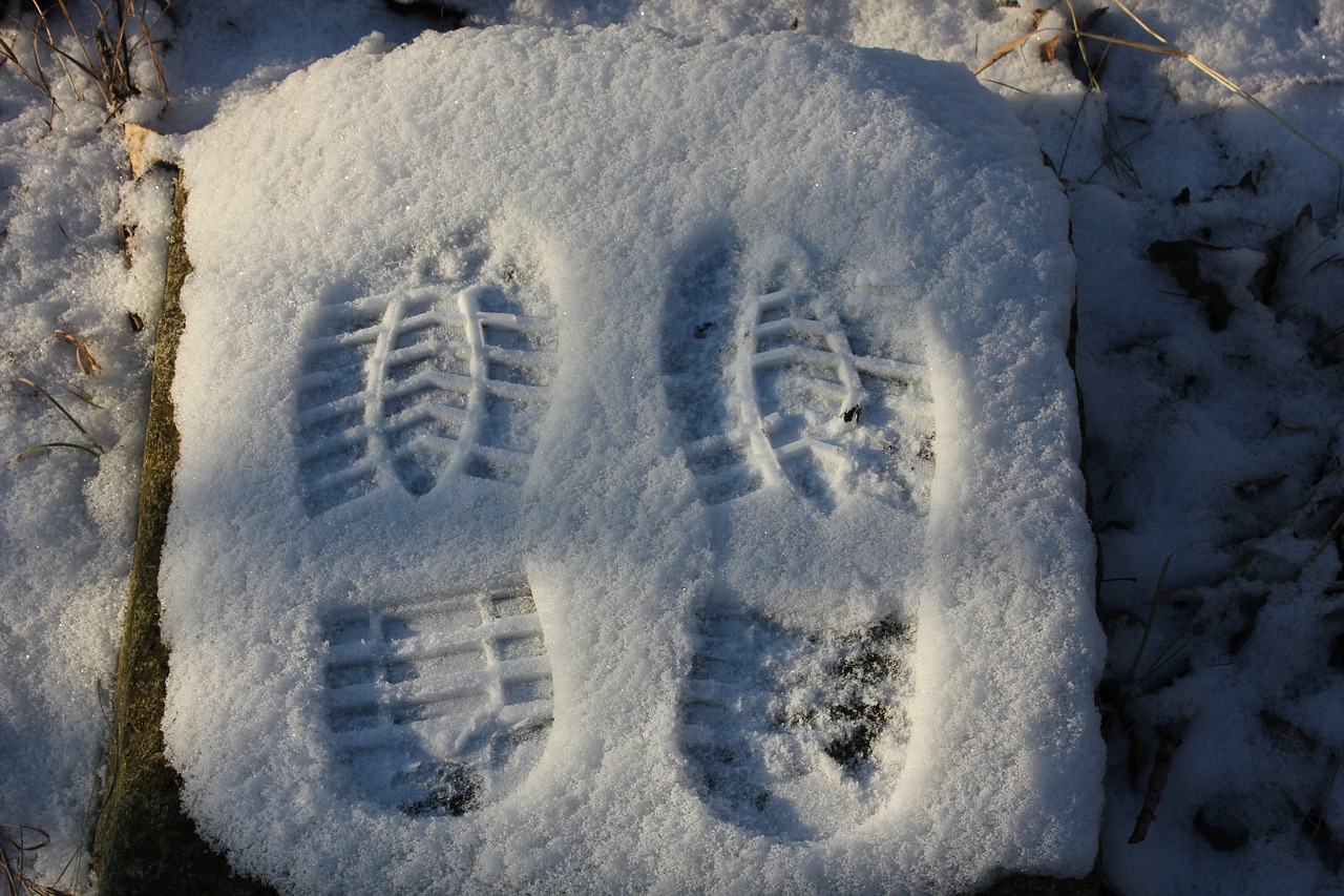 tracks snow walk free photo