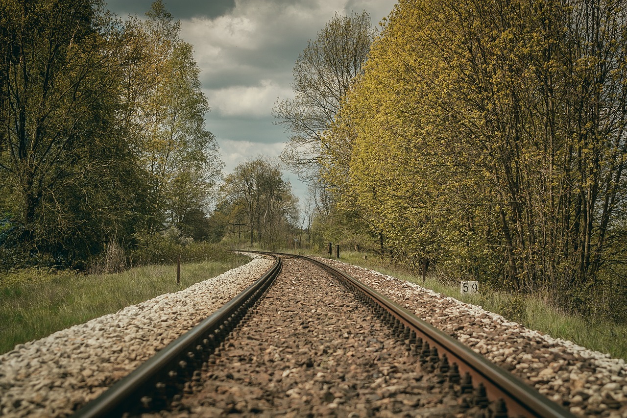 tracks tree traction free photo