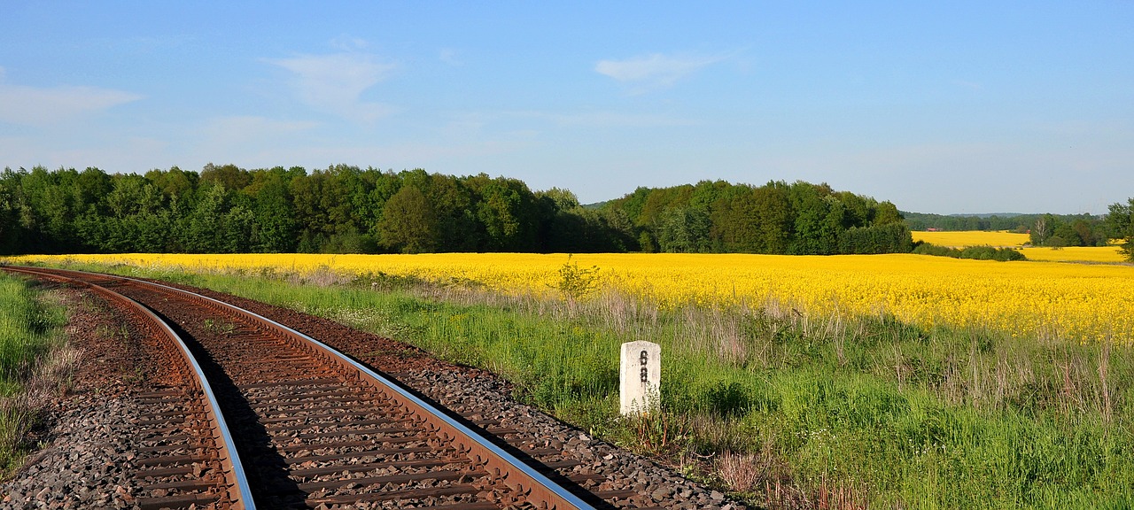 tracks railway rapeseed free photo