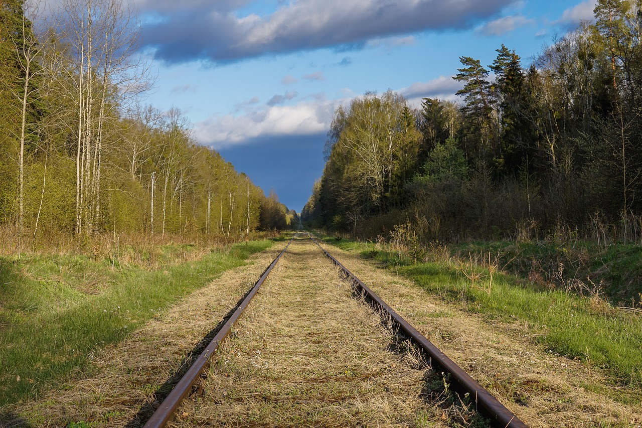 tracks railroad tracks rails free photo