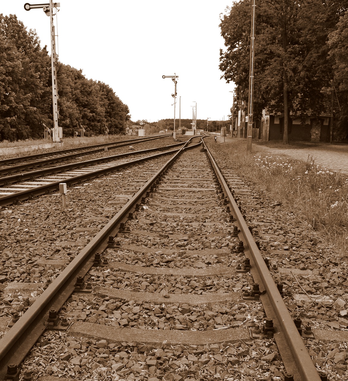 tracks  railway  rails free photo