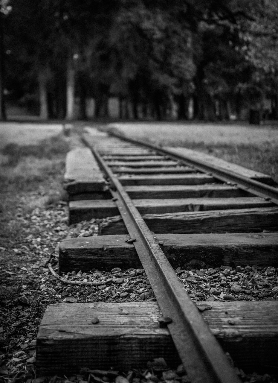 tracks train black and white free photo