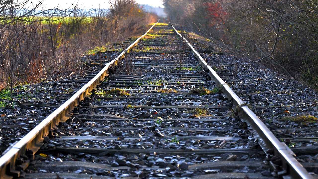 tracks abandoned rot away alongside free photo